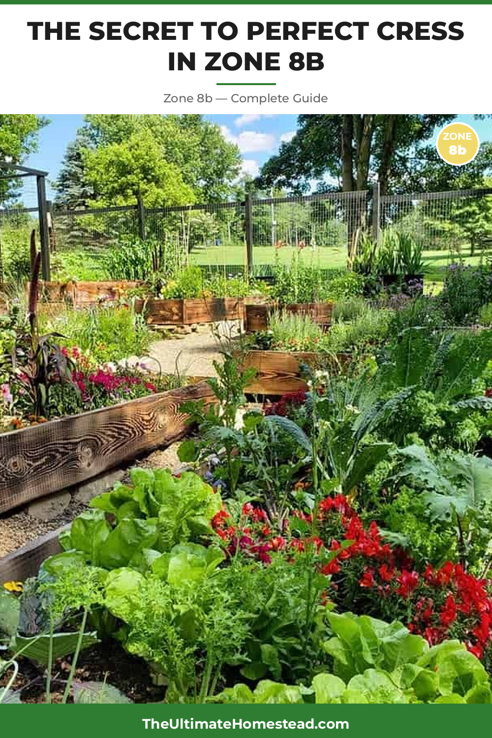 When to Plant Cress in Zone 8b