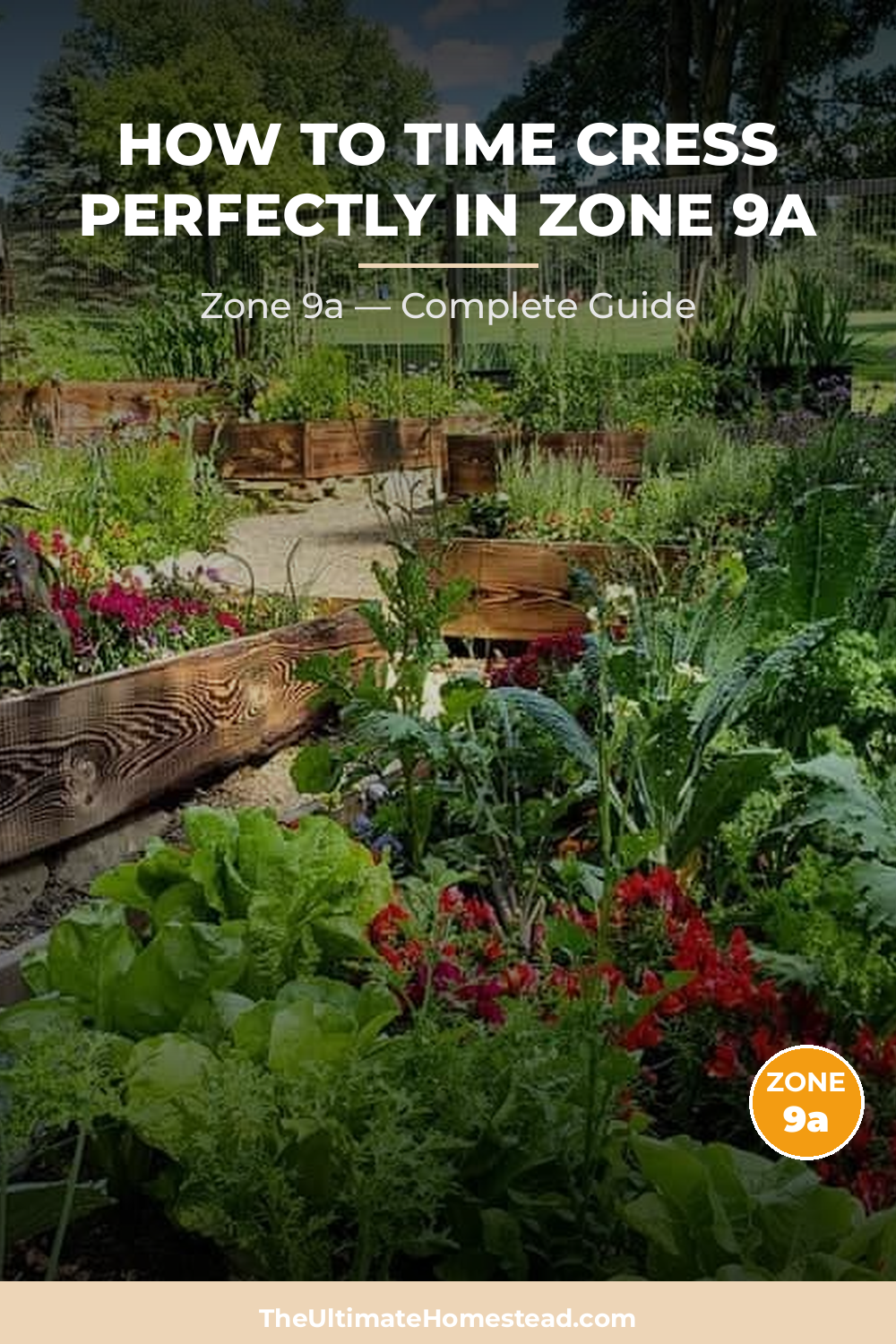 When to Plant Cress in Zone 9a