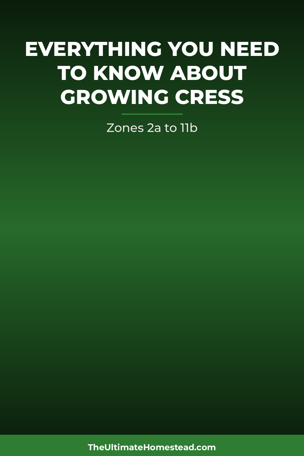 Cress Planting Guide