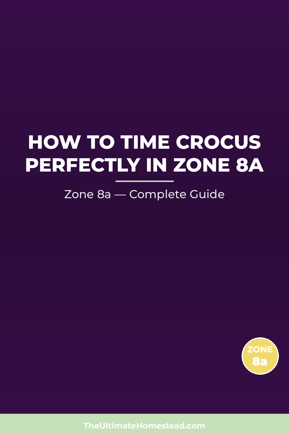 When to Plant Crocus in Zone 8a