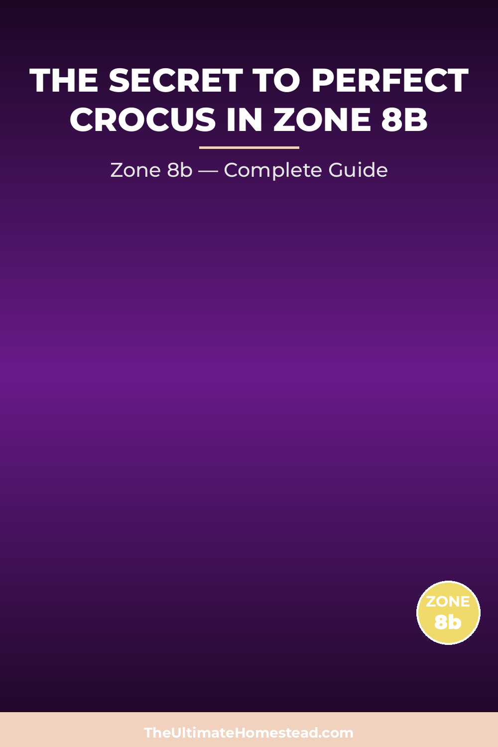 When to Plant Crocus in Zone 8b