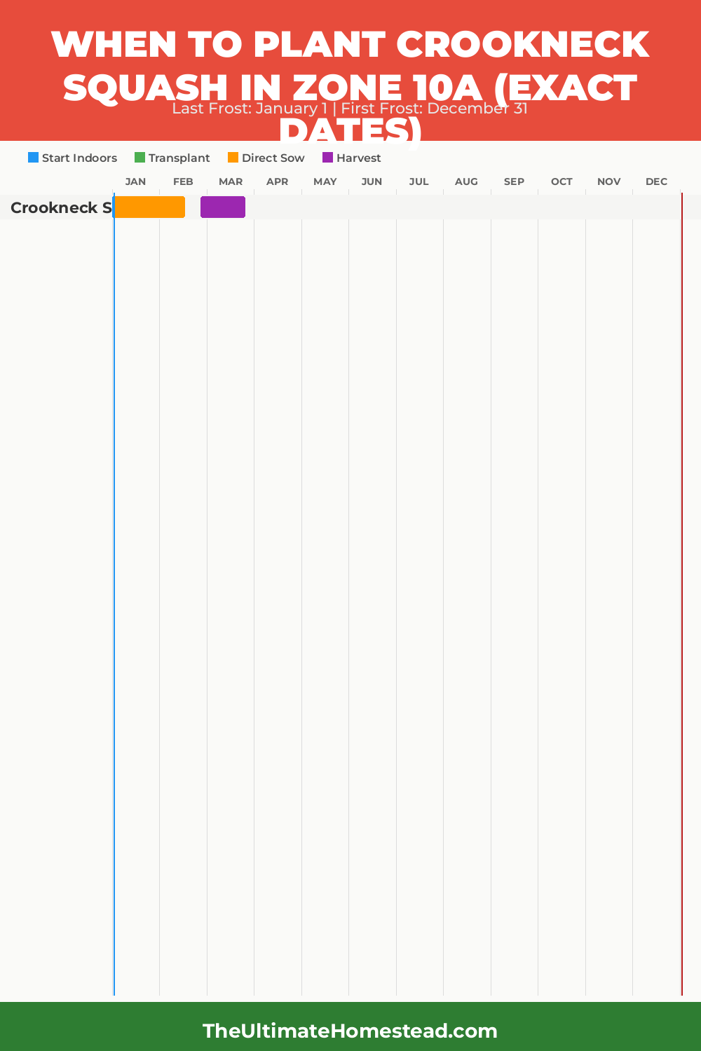 When to Plant Crookneck Squash in Zone 10a