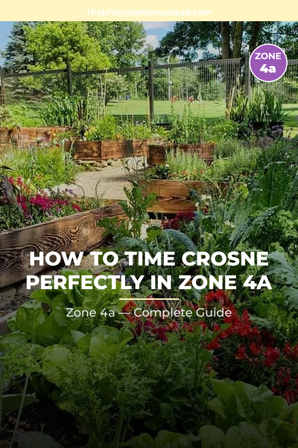 When to Plant Crosne in Zone 4a