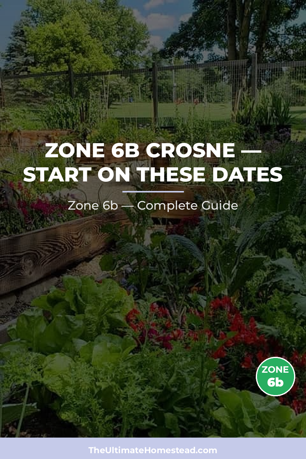 When to Plant Crosne in Zone 6b