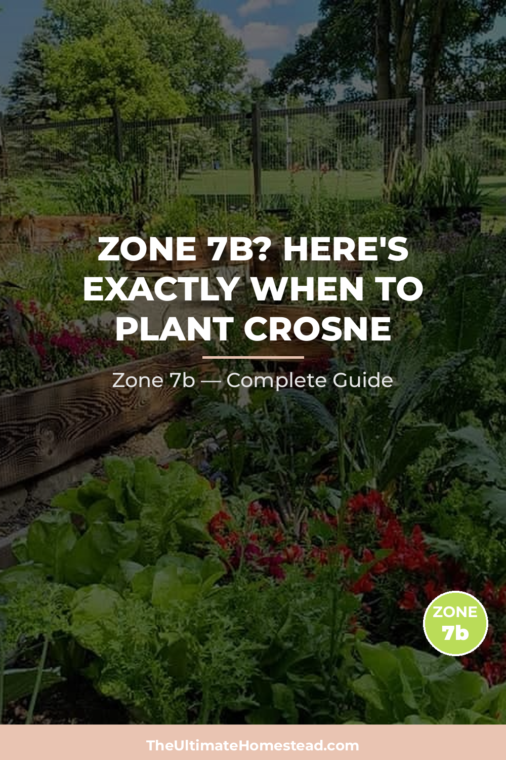 When to Plant Crosne in Zone 7b