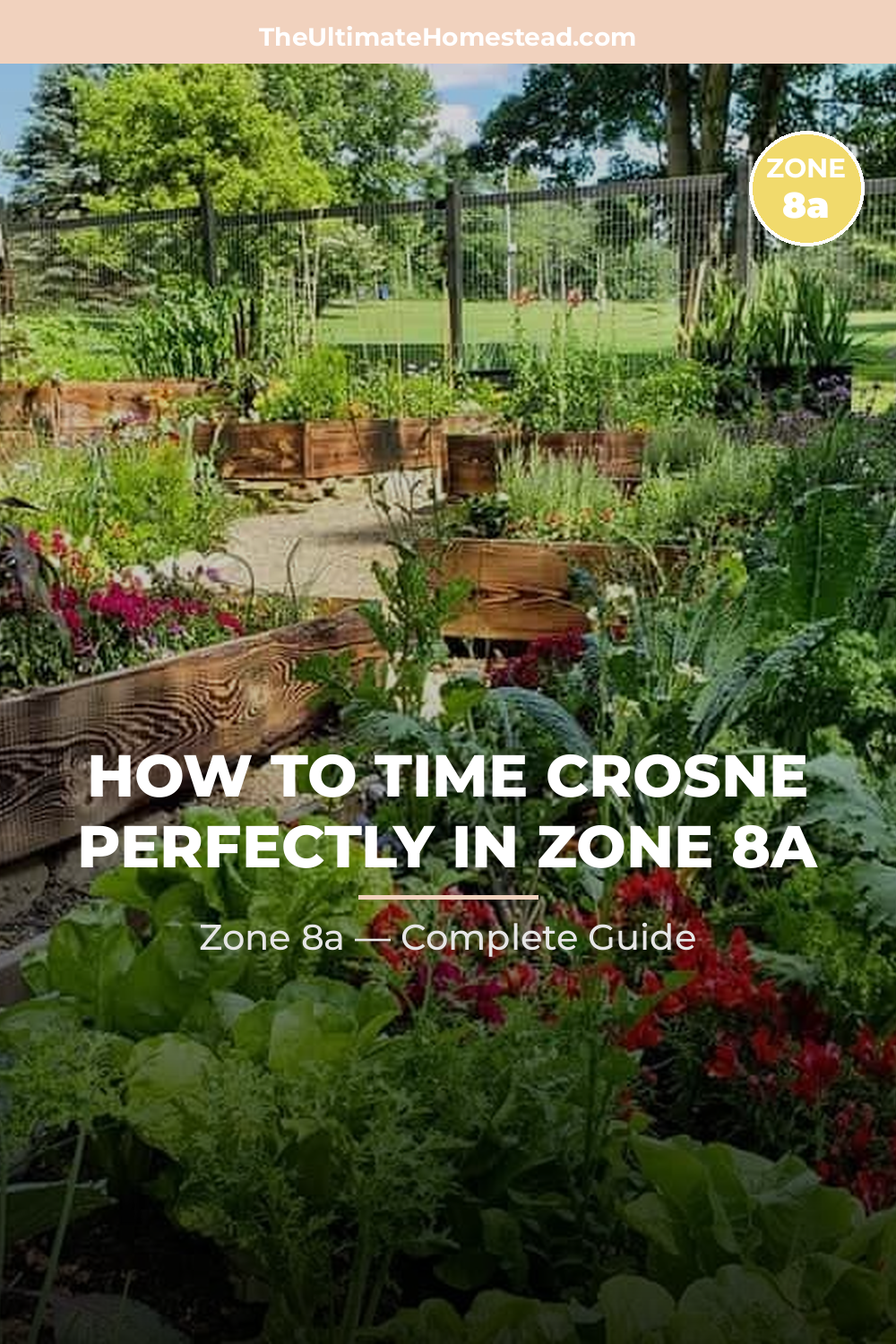 When to Plant Crosne in Zone 8a