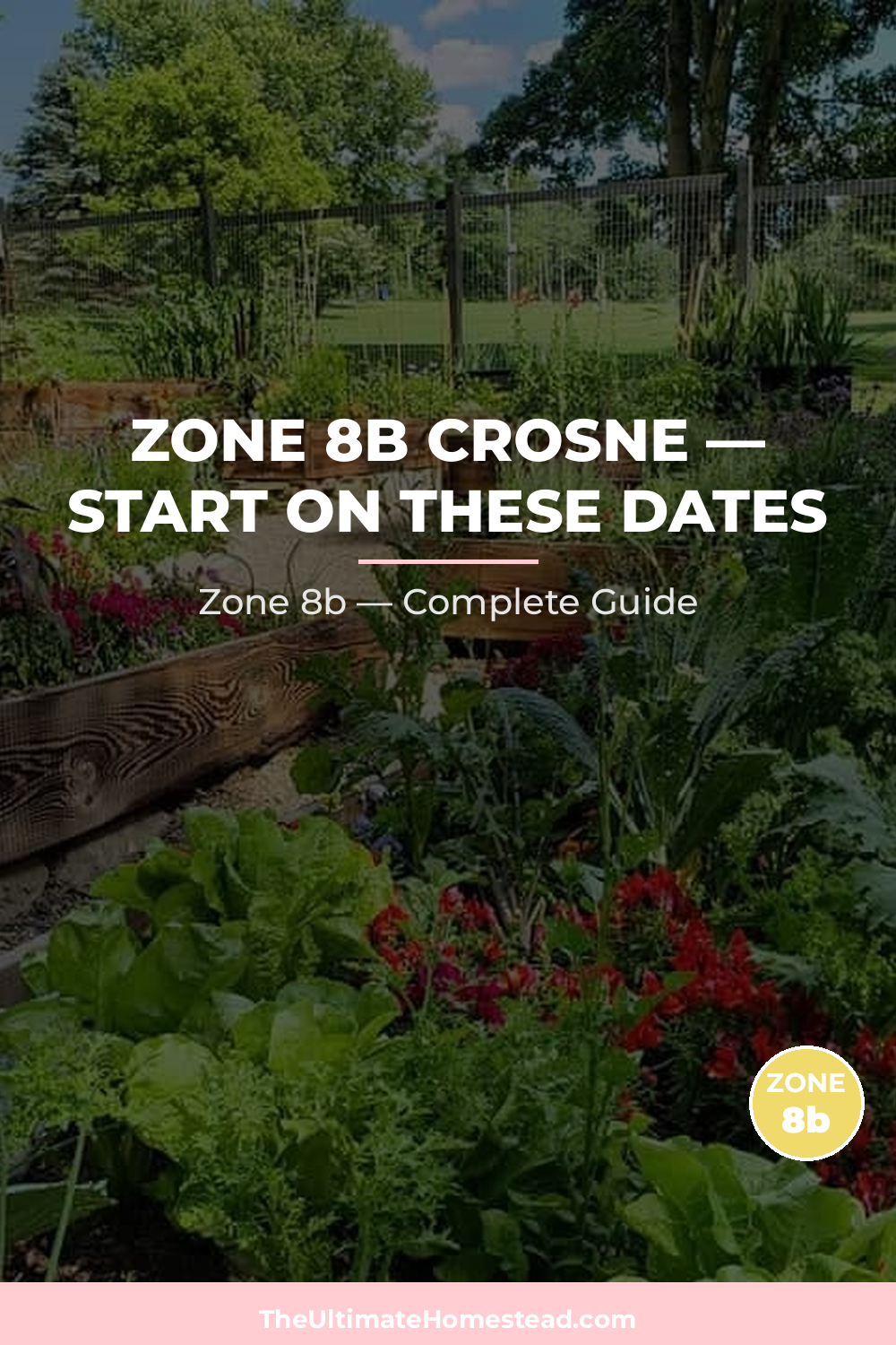 When to Plant Crosne in Zone 8b