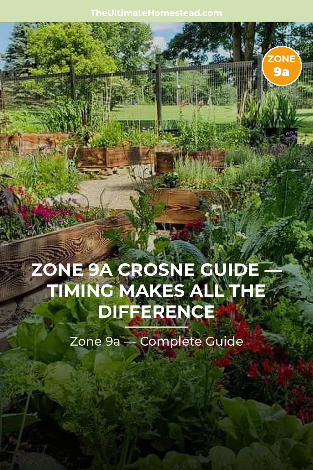 When to Plant Crosne in Zone 9a