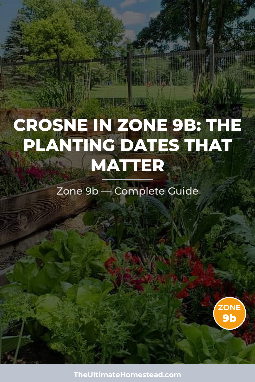 When to Plant Crosne in Zone 9b