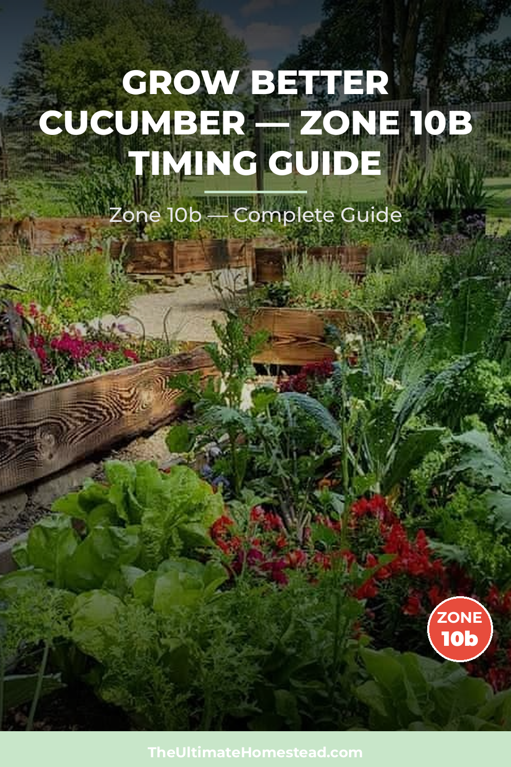 When to Plant Cucumber in Zone 10b