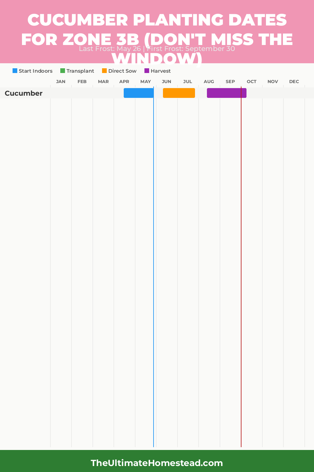 When to Plant Cucumber in Zone 3b