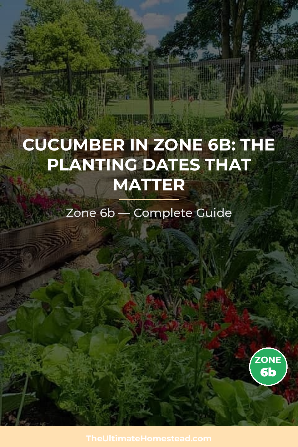 When to Plant Cucumber in Zone 6b