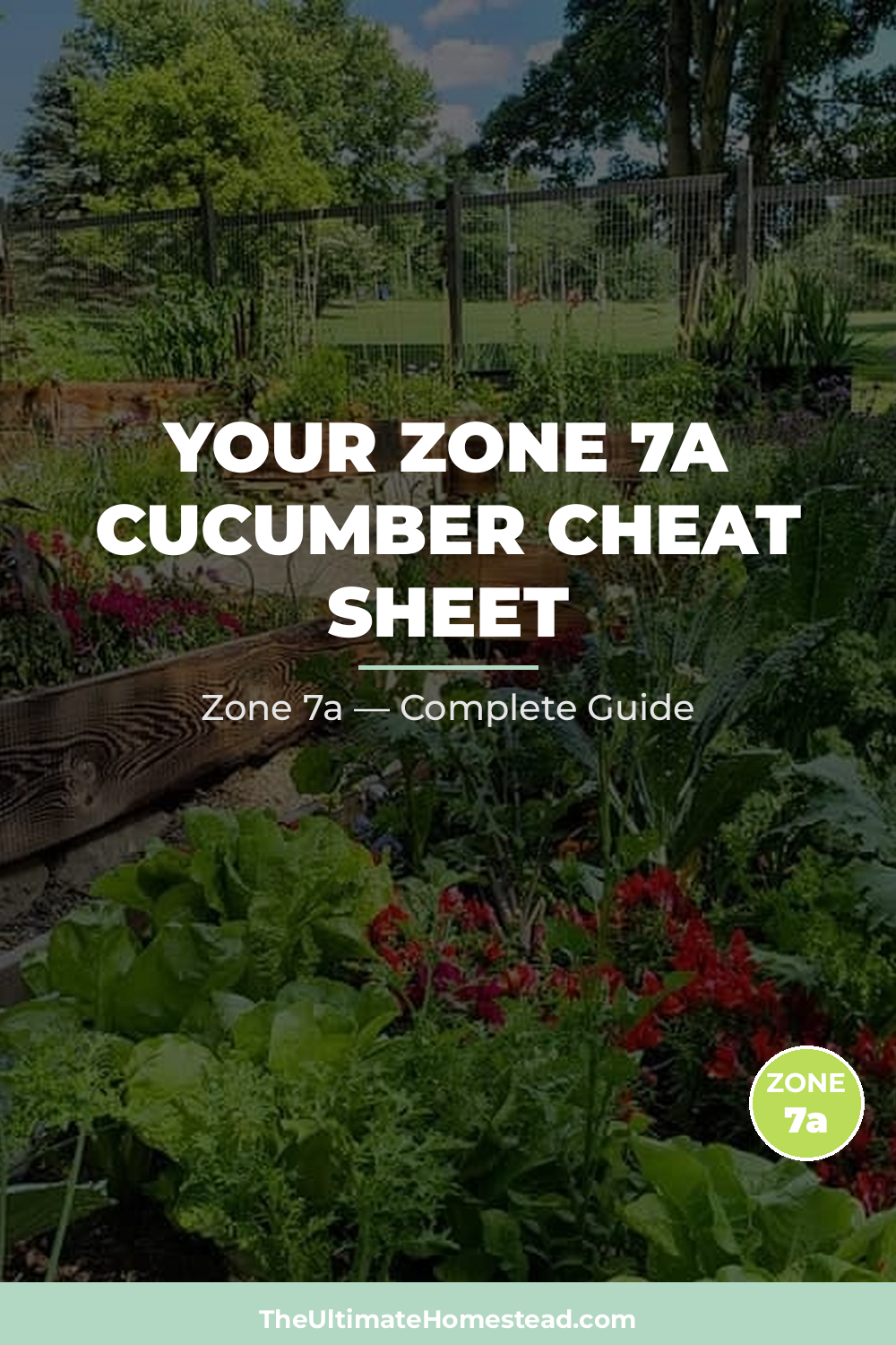 When to Plant Cucumber in Zone 7a