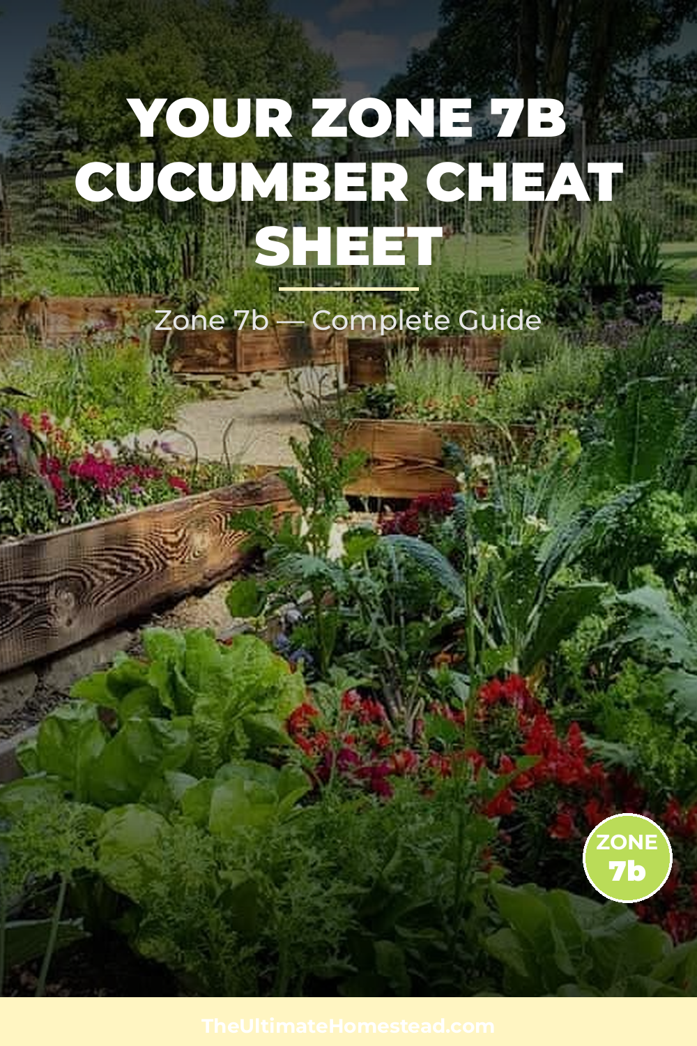 When to Plant Cucumber in Zone 7b