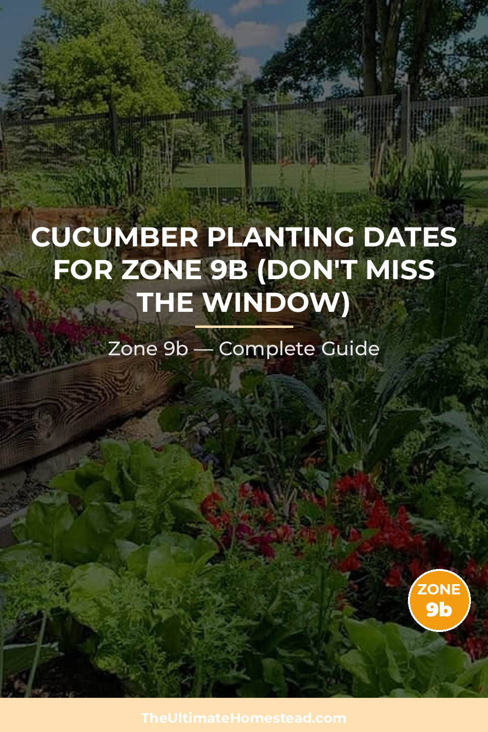 When to Plant Cucumber in Zone 9b