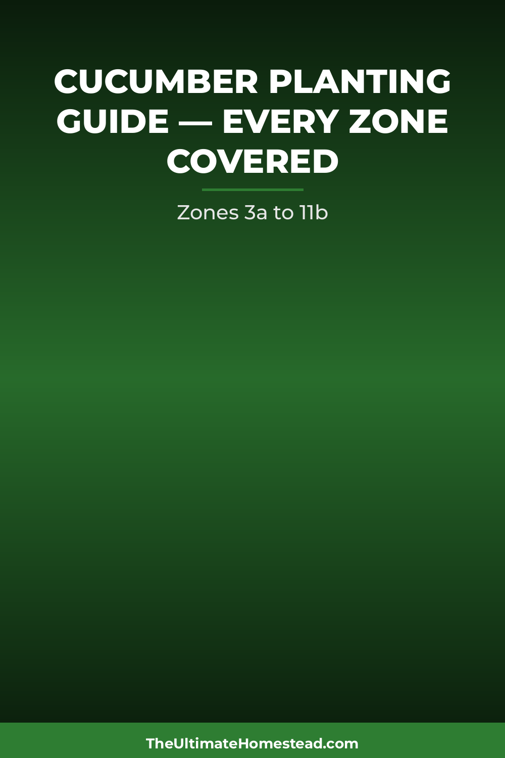 Cucumber Planting Guide