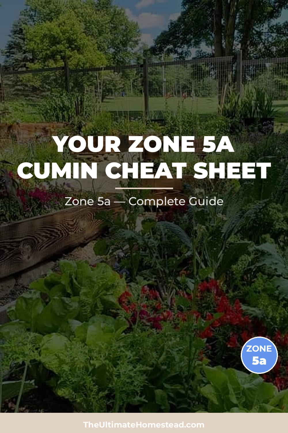 When to Plant Cumin in Zone 5a