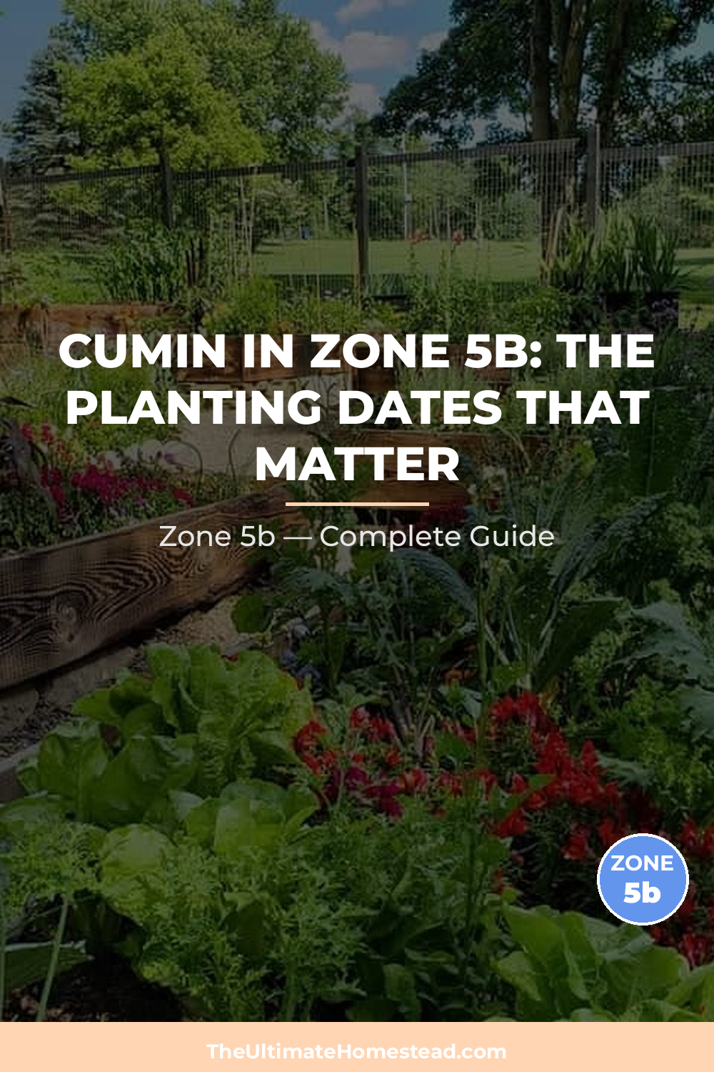 When to Plant Cumin in Zone 5b