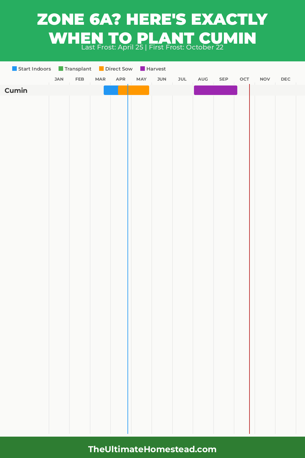 When to Plant Cumin in Zone 6a