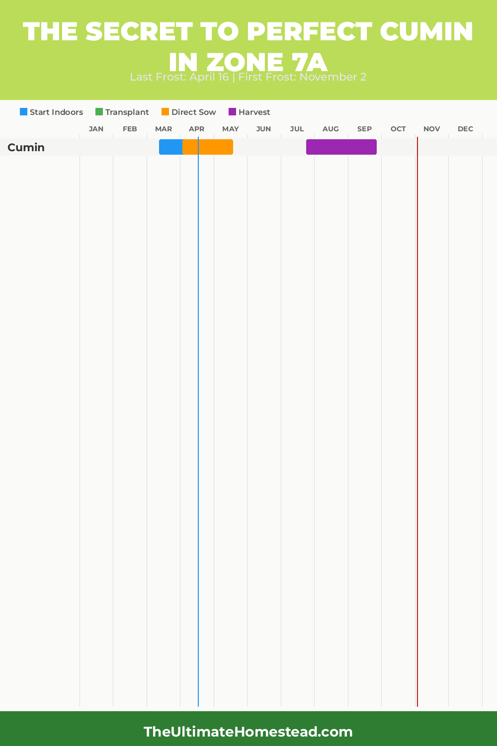 When to Plant Cumin in Zone 7a
