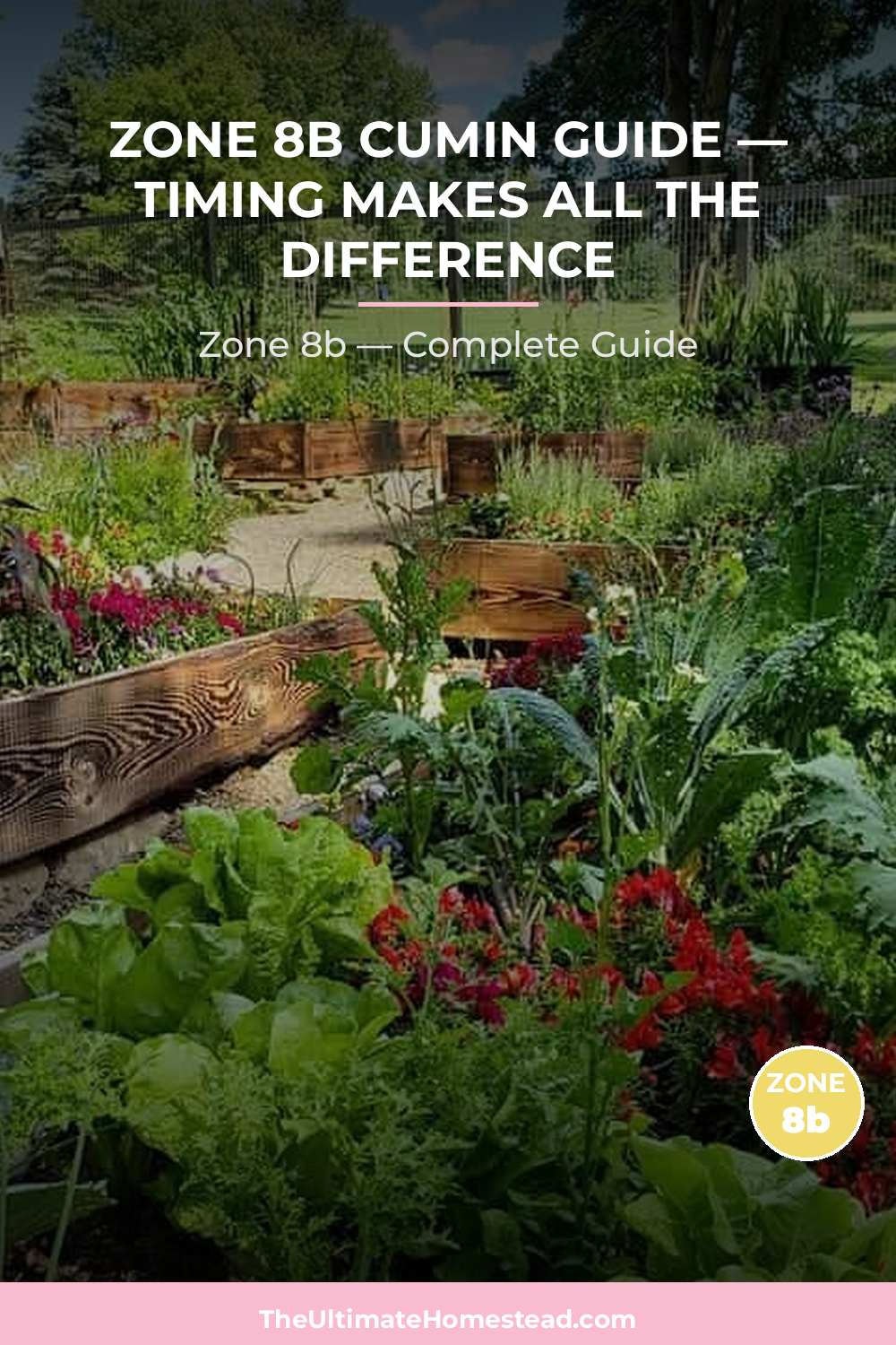 When to Plant Cumin in Zone 8b