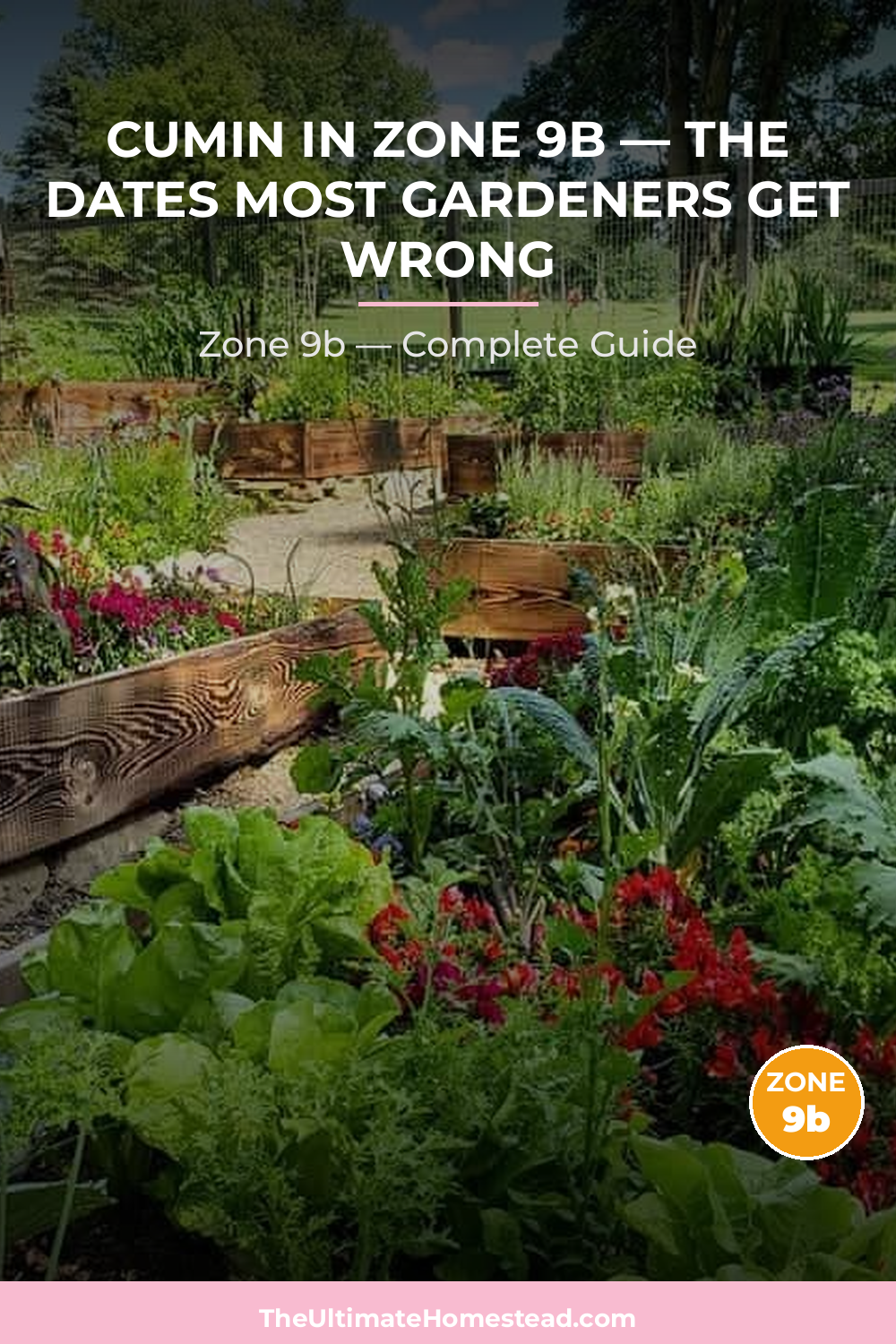 When to Plant Cumin in Zone 9b