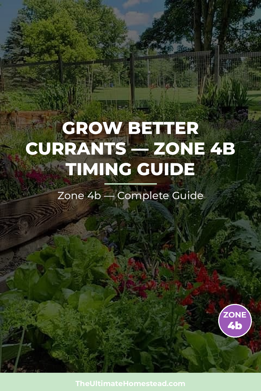 When to Plant Currants in Zone 4b