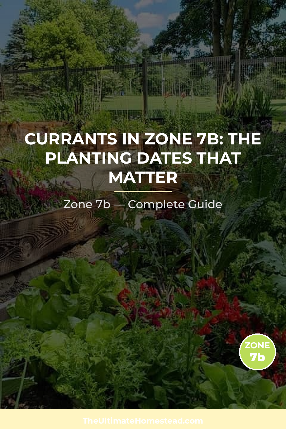 When to Plant Currants in Zone 7b