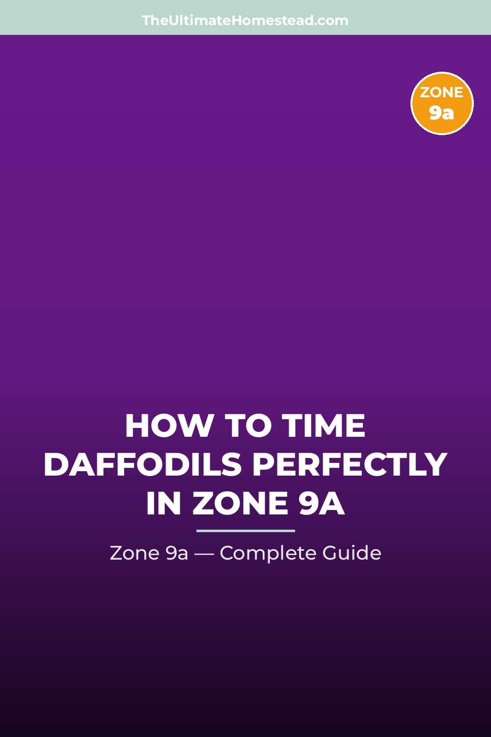When to Plant Daffodils in Zone 9a