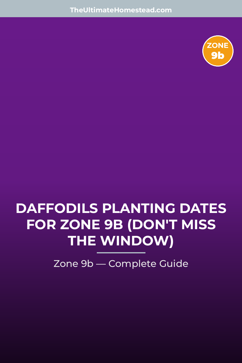 When to Plant Daffodils in Zone 9b