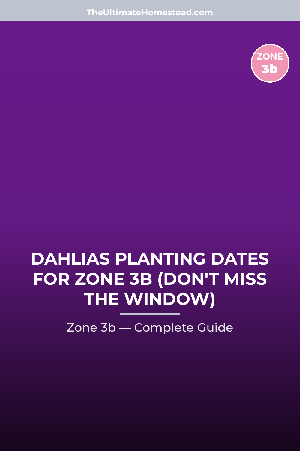 When to Plant Dahlias in Zone 3b