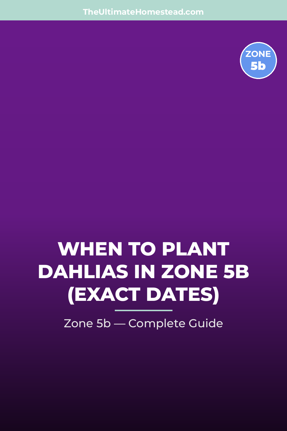 When to Plant Dahlias in Zone 5b