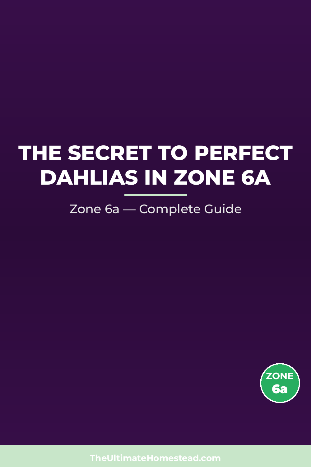 When to Plant Dahlias in Zone 6a