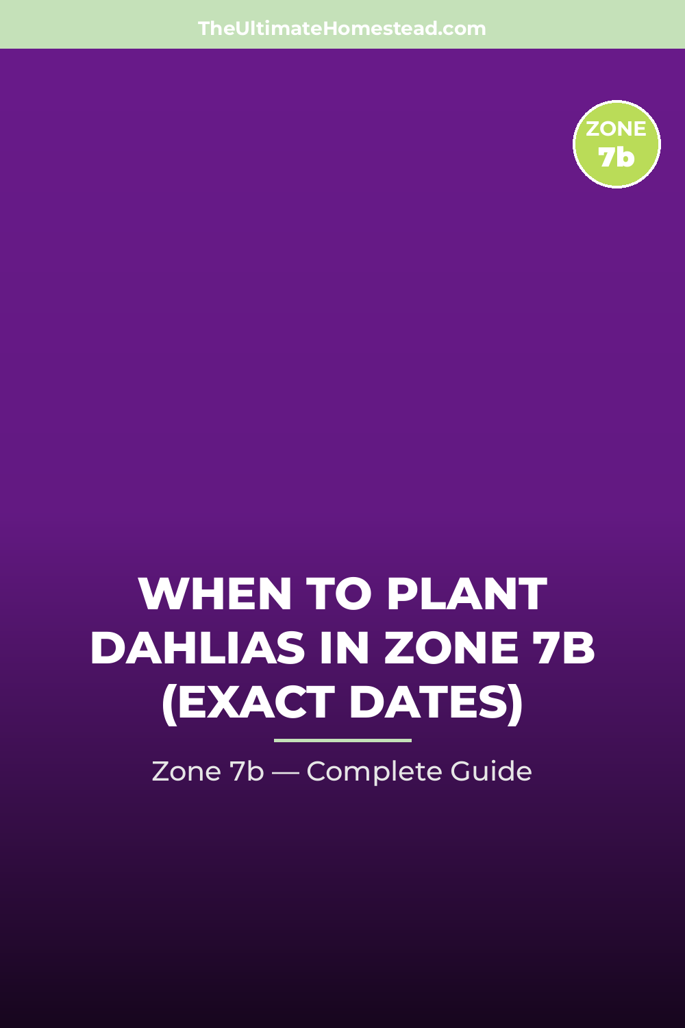 When to Plant Dahlias in Zone 7b