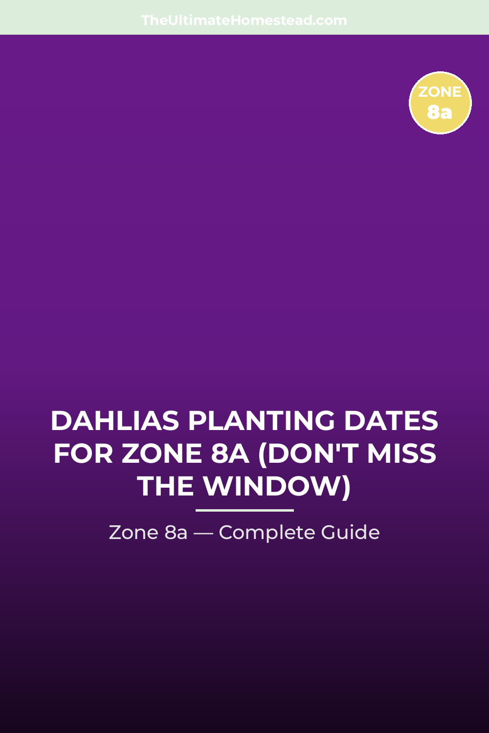 When to Plant Dahlias in Zone 8a