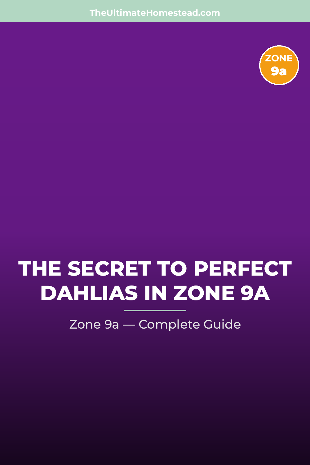 When to Plant Dahlias in Zone 9a