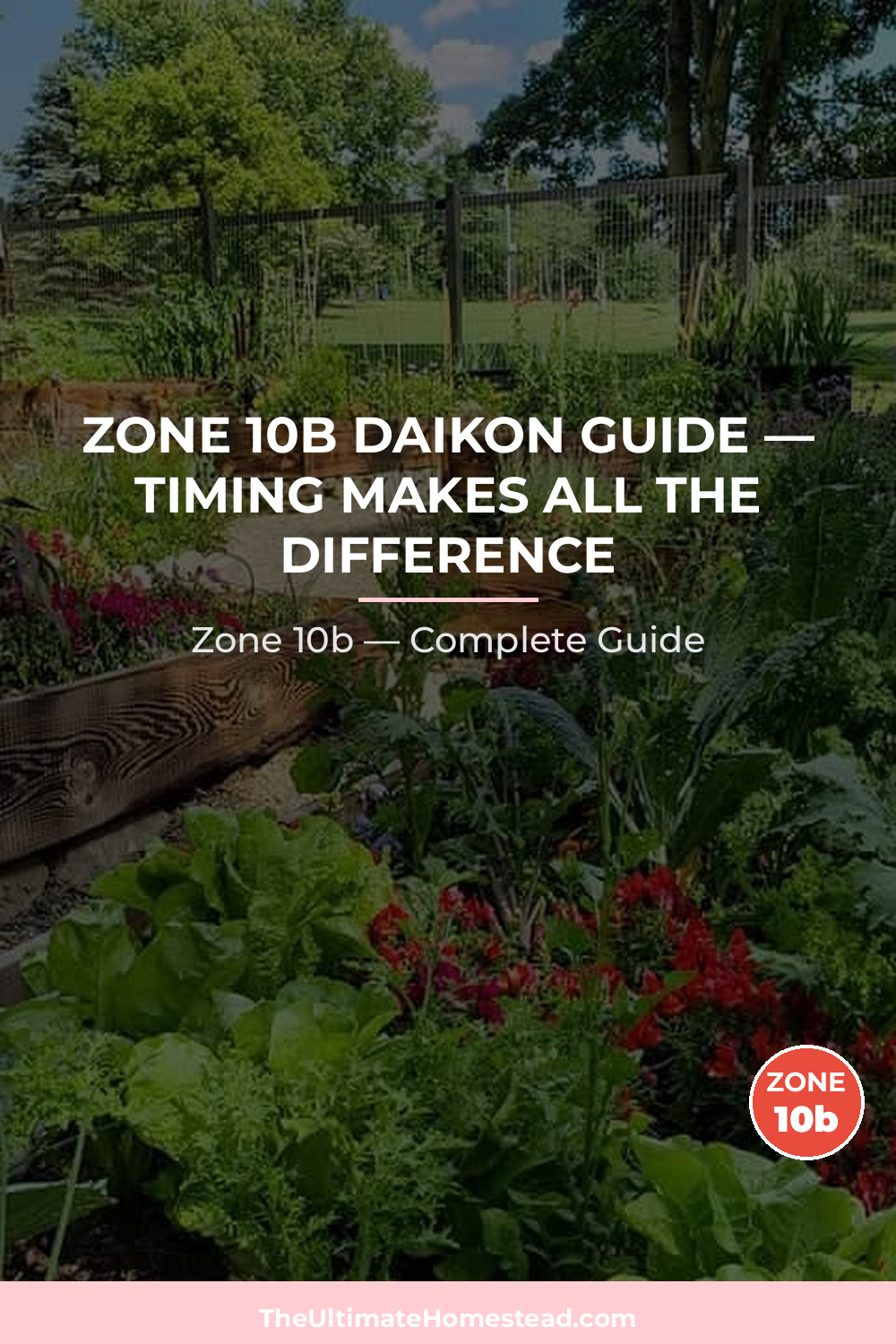 When to Plant Daikon in Zone 10b