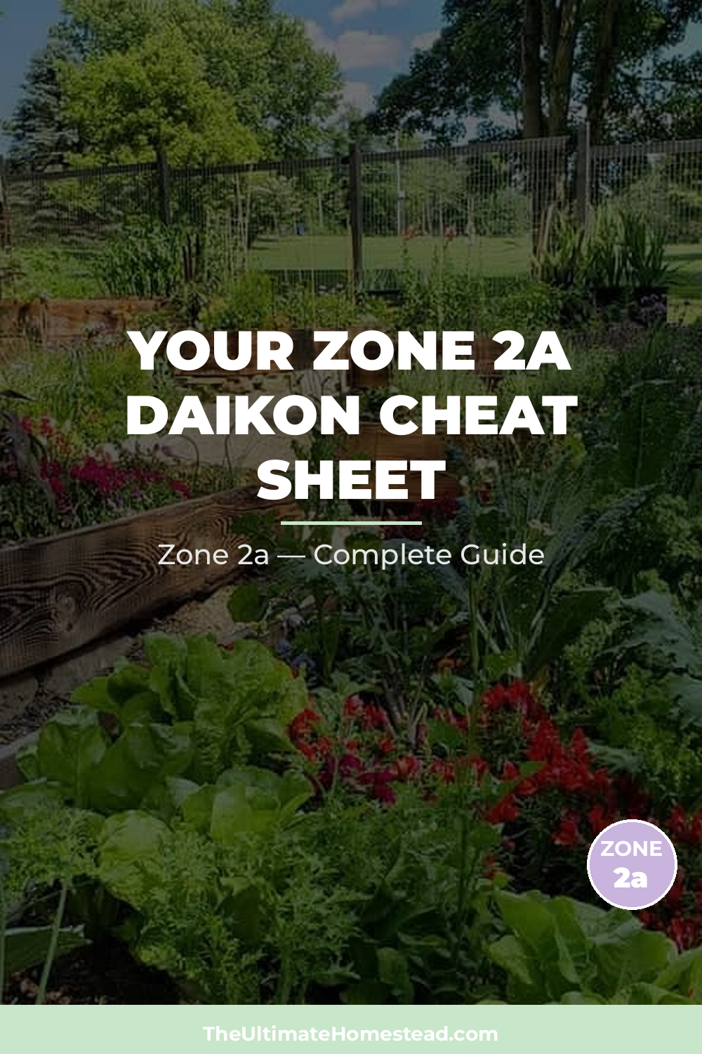 When to Plant Daikon in Zone 2a
