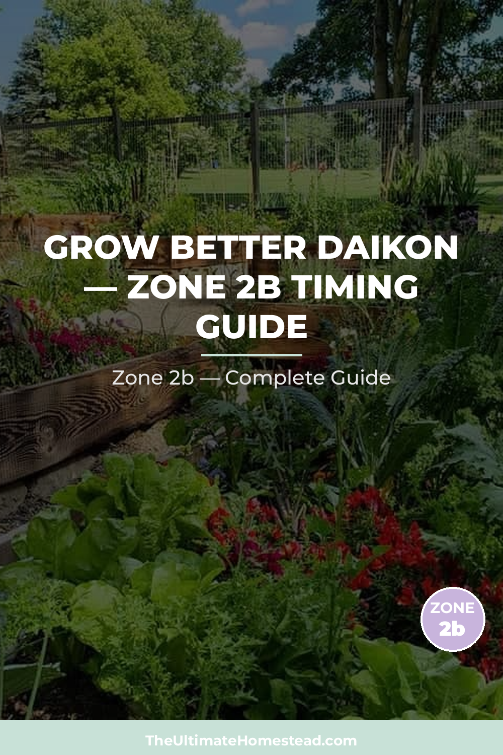 When to Plant Daikon in Zone 2b