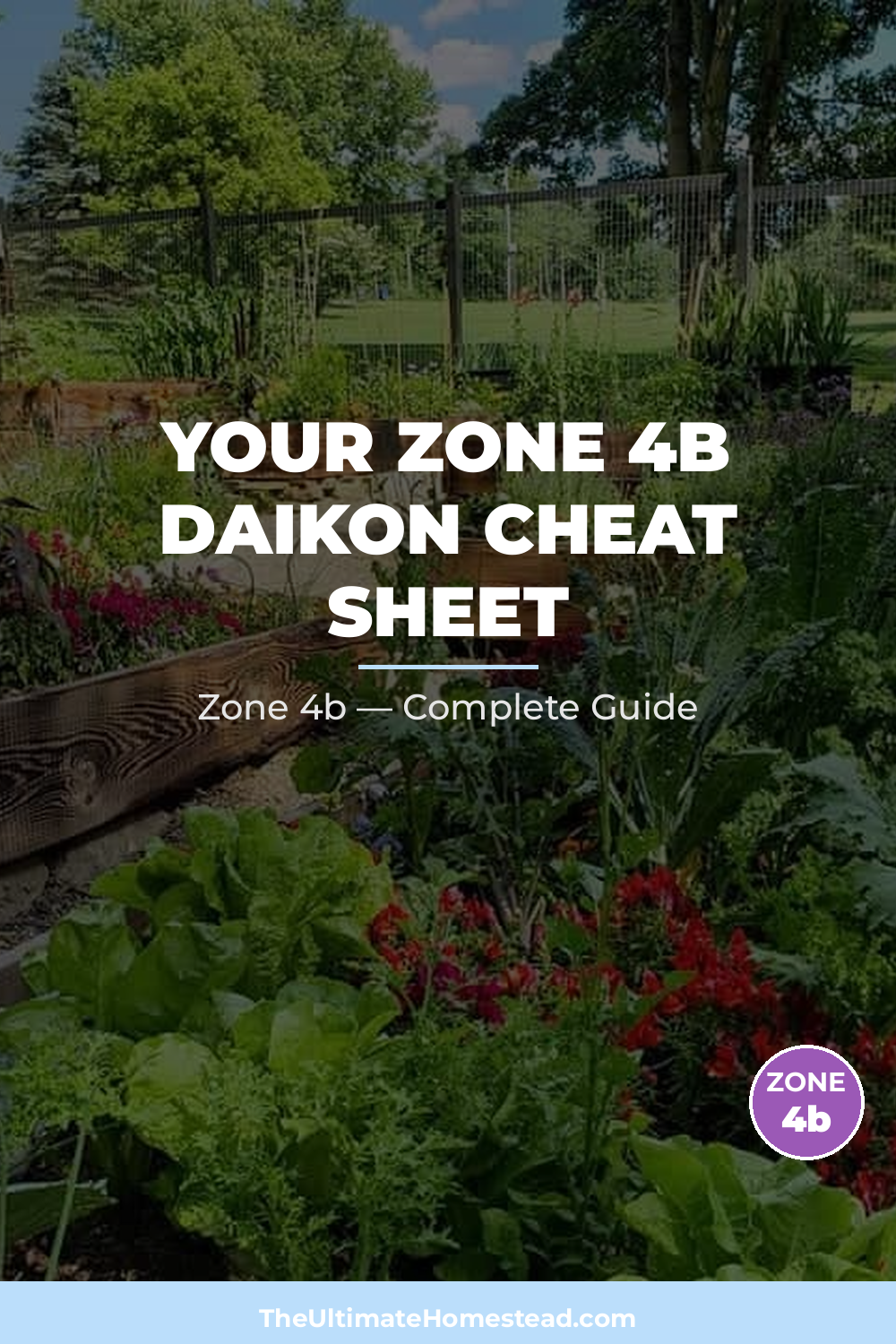 When to Plant Daikon in Zone 4b