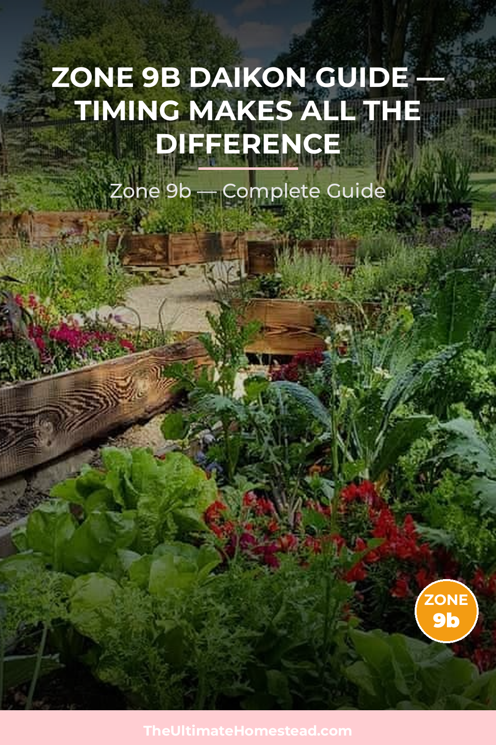 When to Plant Daikon in Zone 9b