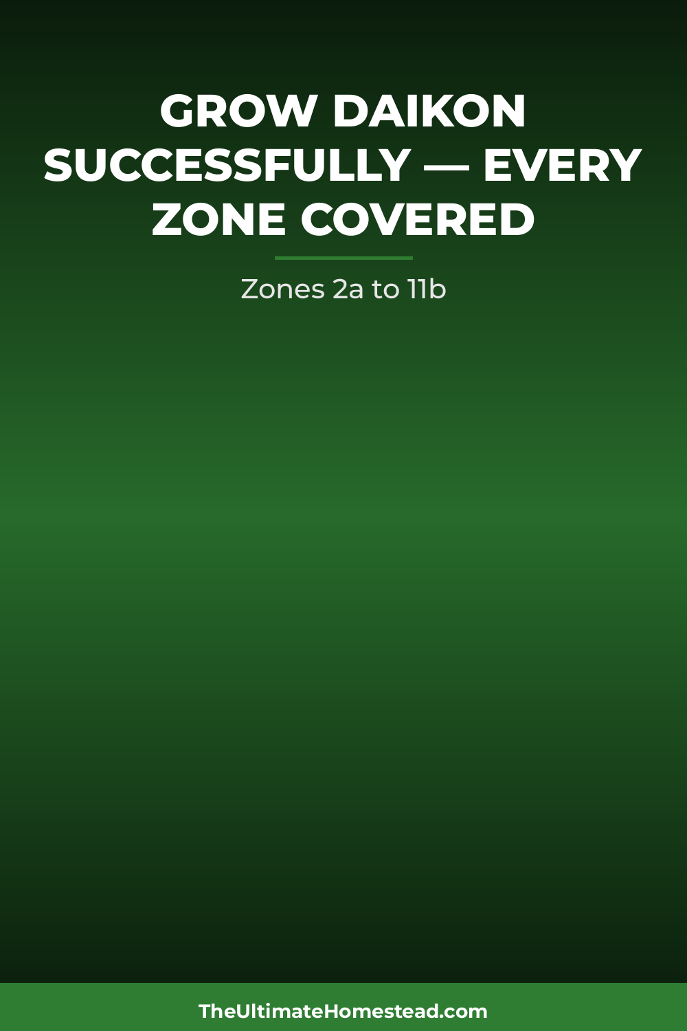 Daikon Planting Guide