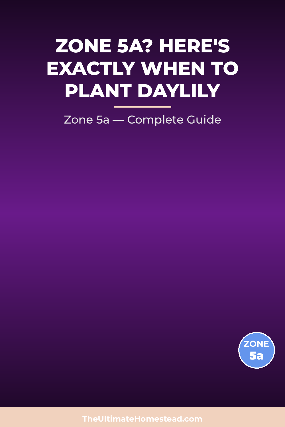 When to Plant Daylily in Zone 5a