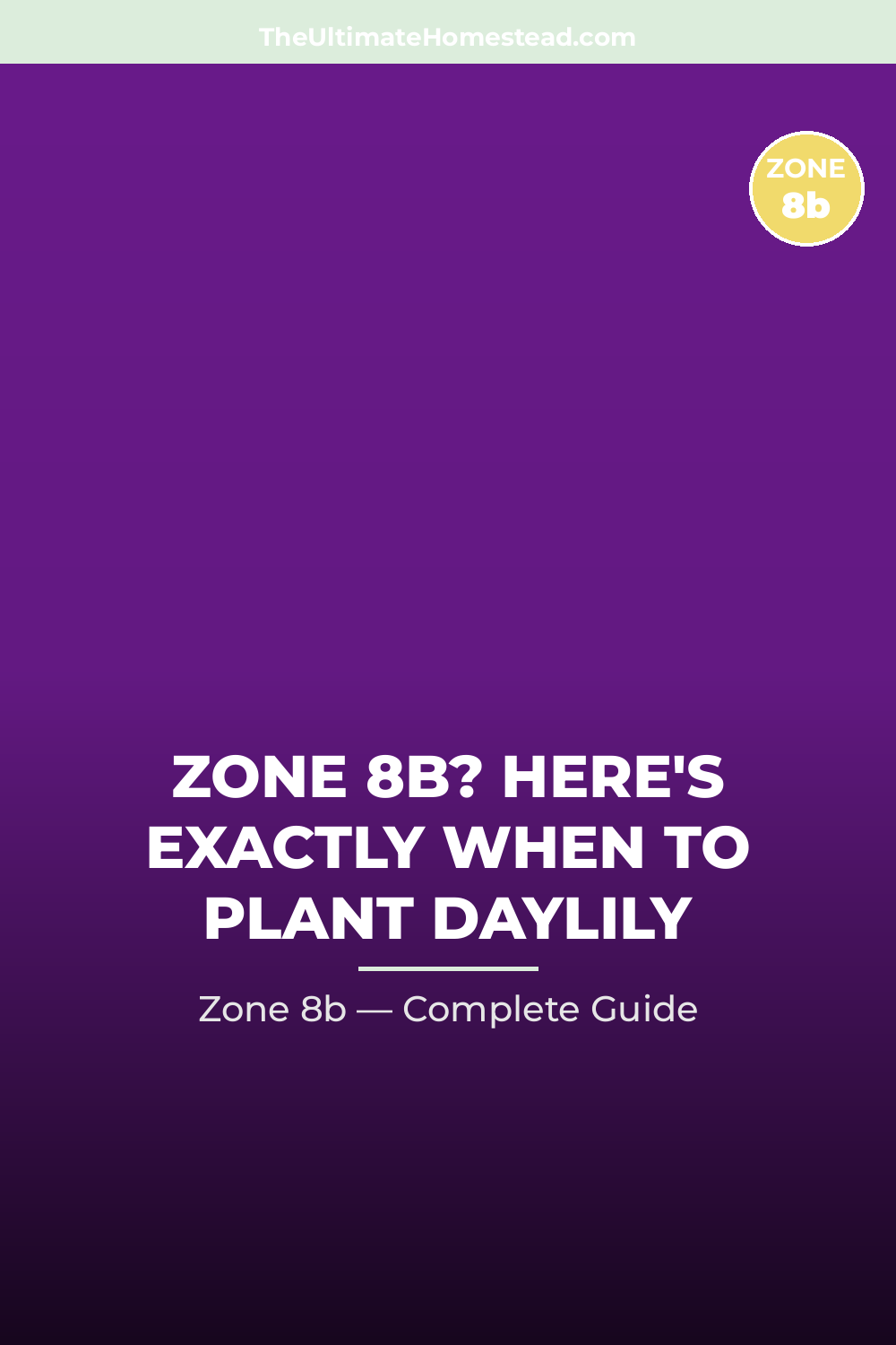 When to Plant Daylily in Zone 8b
