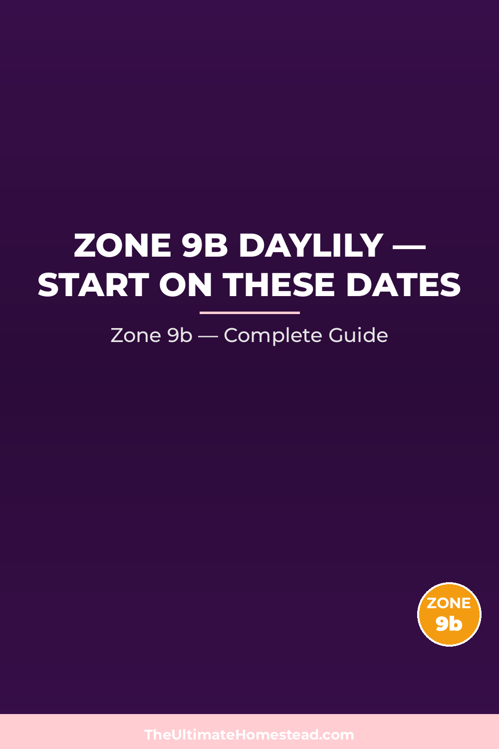 When to Plant Daylily in Zone 9b