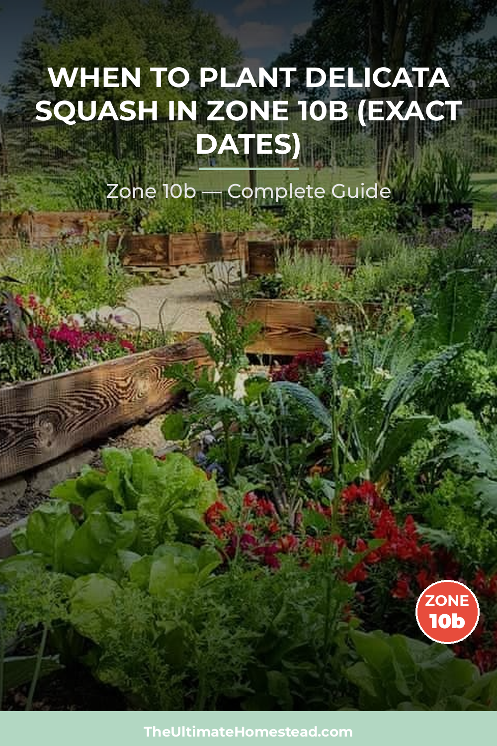 When to Plant Delicata Squash in Zone 10b