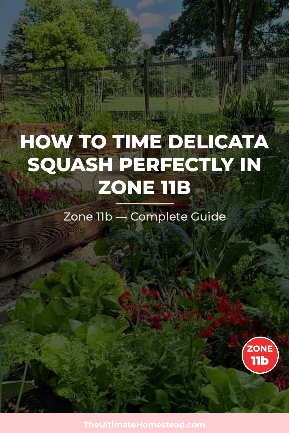 When to Plant Delicata Squash in Zone 11b