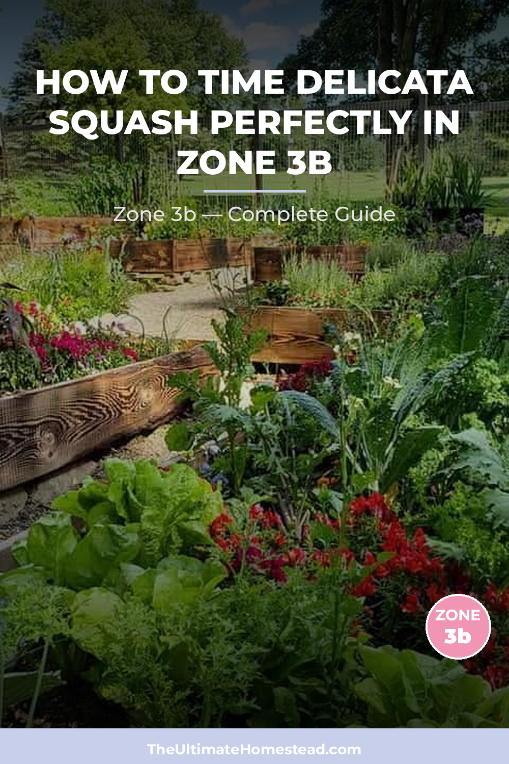 When to Plant Delicata Squash in Zone 3b