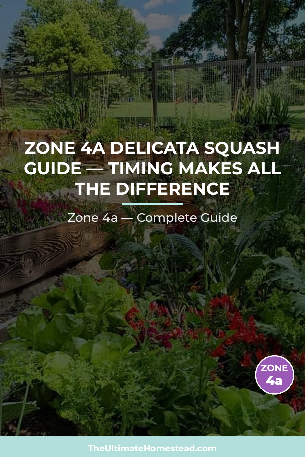 When to Plant Delicata Squash in Zone 4a