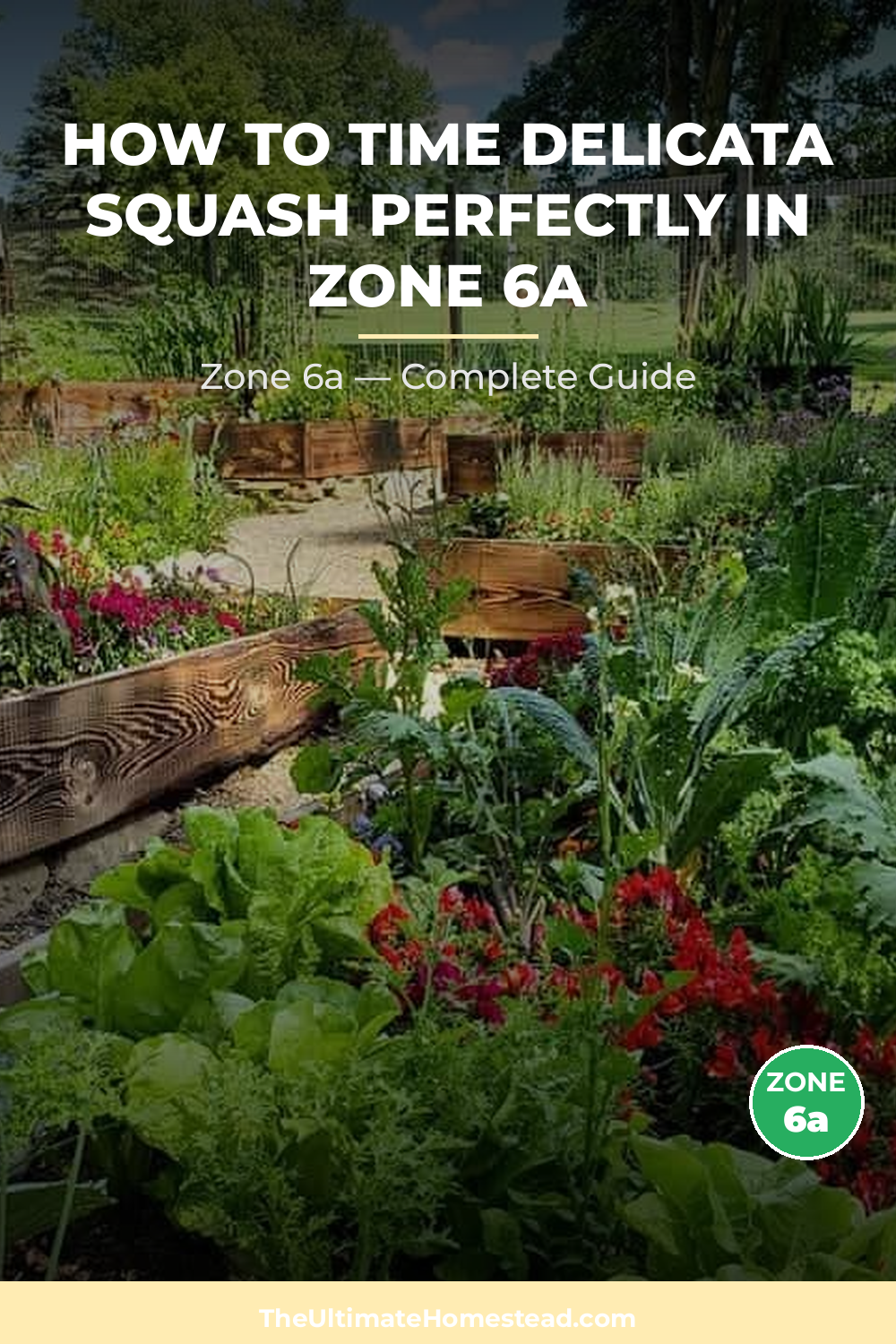 When to Plant Delicata Squash in Zone 6a